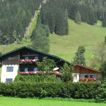 Ferienhaus Regina Верфенвенг Экстерьер фото